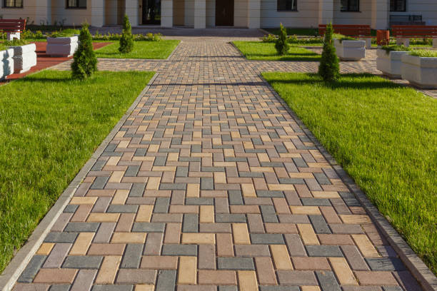 Best Driveway Paving Contractor  in Bolivar, MO